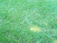 100_6176.jpg